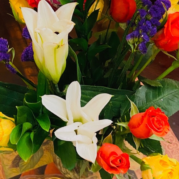 Meet your Posher, Arisbel - Picture 1 of 1